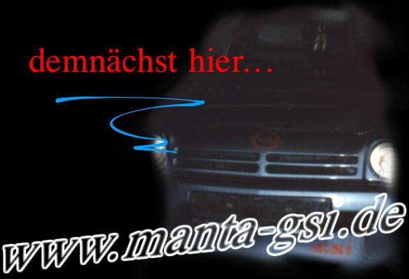 Logo www.manta-gsi.de